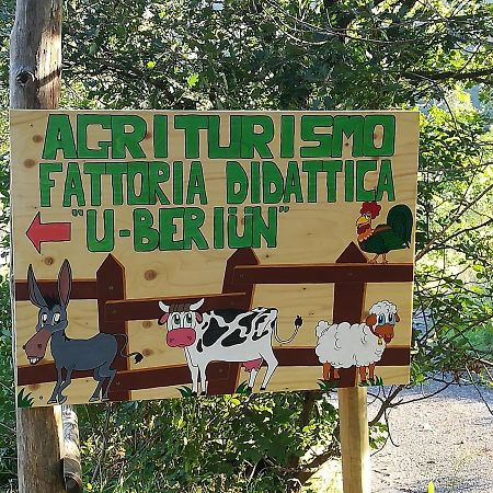 Agricampeggio U Beriun Onzo Exterior foto