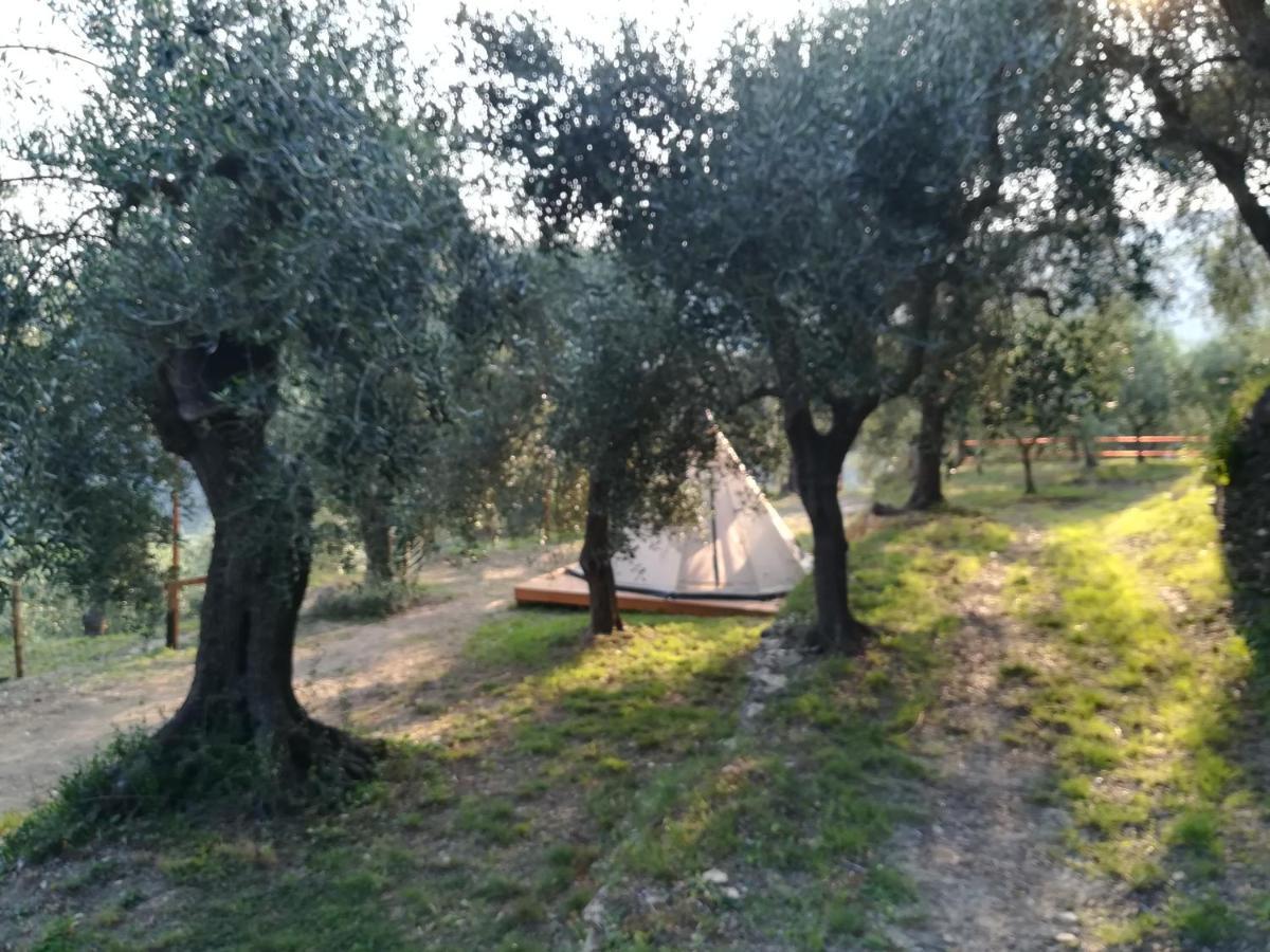 Agricampeggio U Beriun Onzo Exterior foto