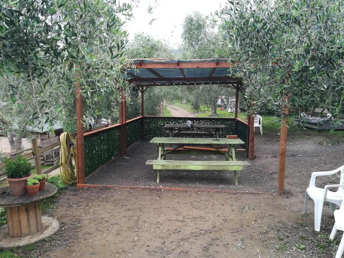 Agricampeggio U Beriun Onzo Exterior foto